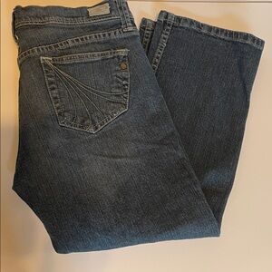 Ilir Capris Dark Blue Denim size 9
